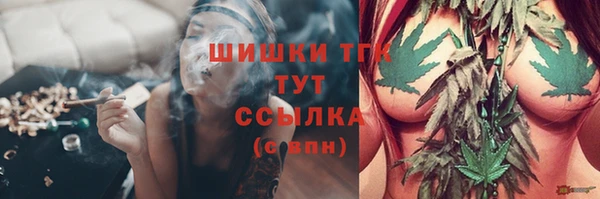 гидра Володарск
