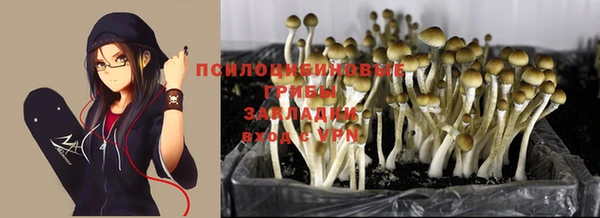 гидра Володарск