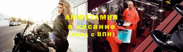 гидра Володарск