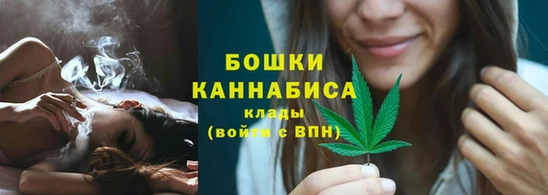дживик Вязьма