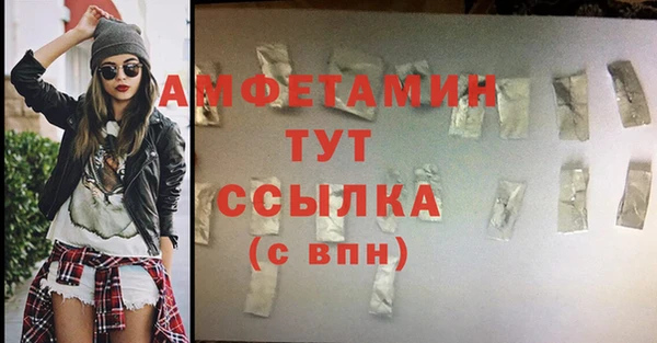 гидра Володарск