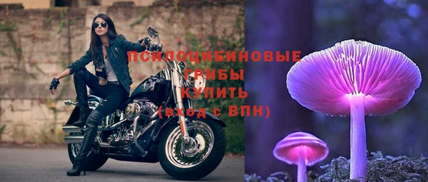 Альфа ПВП Волоколамск