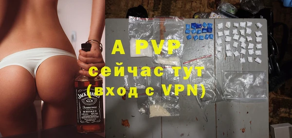 гидра Володарск