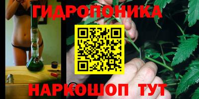 spice Заволжье