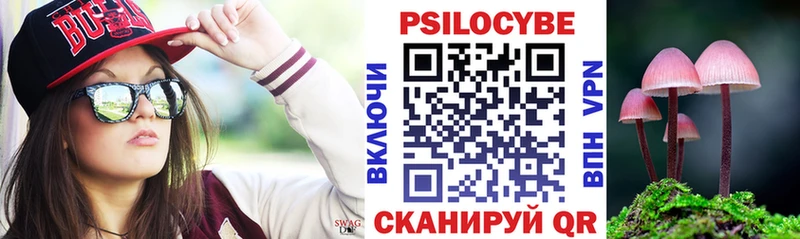 OMG tor  цена   Северск  Псилоцибиновые грибы Psilocybe 