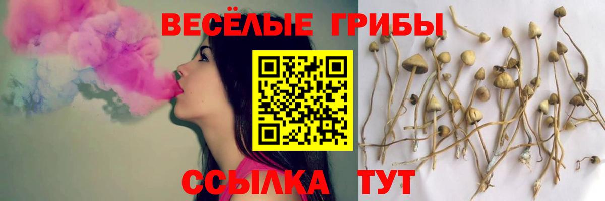 Северск  Галлюциногенные грибы мухоморы  Вход с VPN 